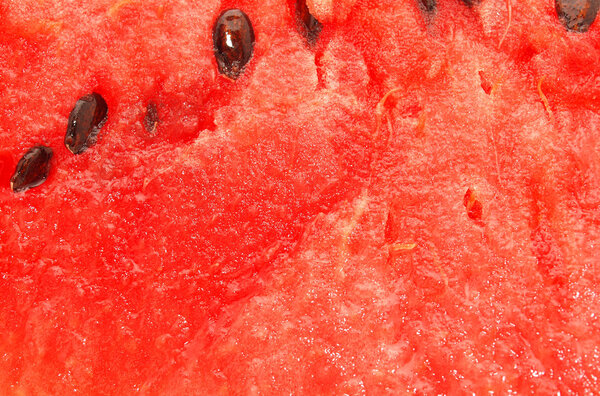 Pulp of a water-melon