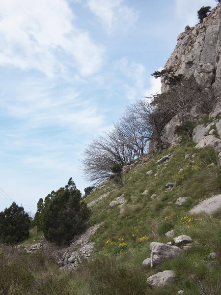 Ağaçlar, gökyüzü ve kaya — Stok fotoğraf