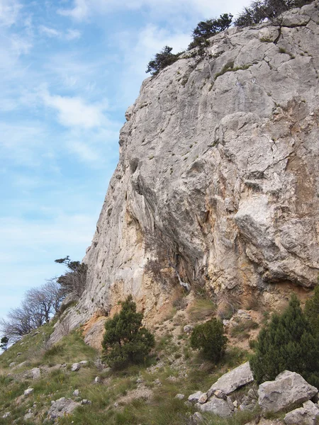 Bomen, hemel en rock — Stockfoto