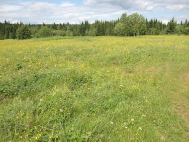 Yaz aylarında ahşap