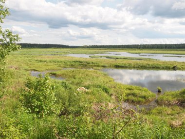 Yaz aylarında ahşap.