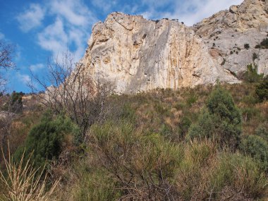 ağaç, gökyüzü ve kaya