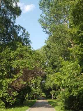 Yaz aylarında ahşap