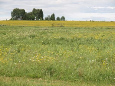 Yaz aylarında ahşap