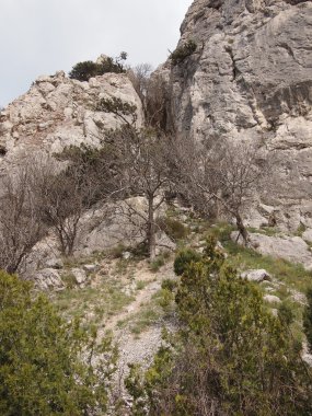 ağaçlar, gökyüzü ve kaya