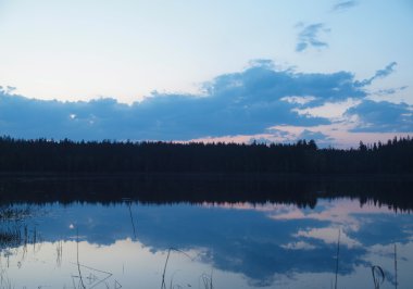 Gölde bir ahşap gerileme