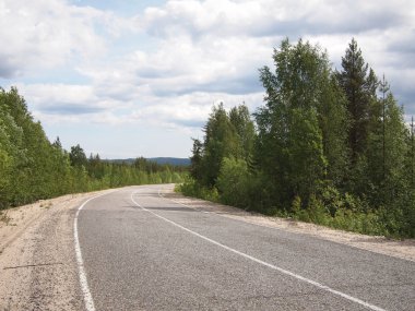 güzel yeşil orman yolu