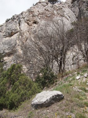 ağaçlar, gökyüzü ve kaya