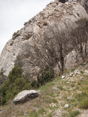 ağaçlar, gökyüzü ve kaya