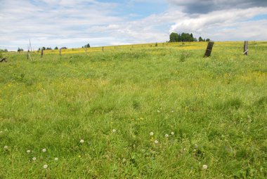 Yaz aylarında ahşap