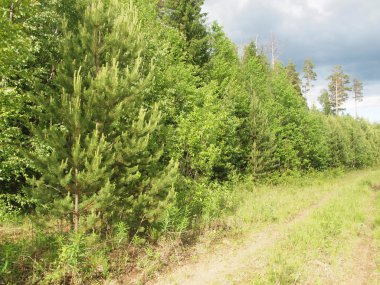 Yaz aylarında ahşap