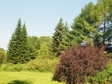 Yaz aylarında ahşap