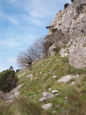 ağaçlar, gökyüzü ve kaya