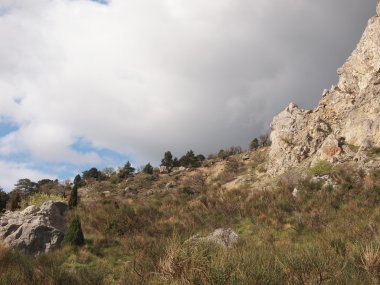 ağaçlar, gökyüzü ve kaya