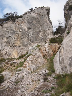 ağaçlar, gökyüzü ve kaya