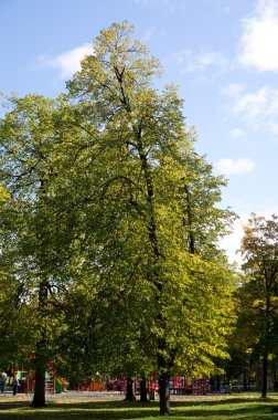Sonbaharda park et.