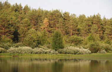 Gölün kıyısında