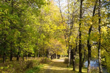 Sonbaharda park et.