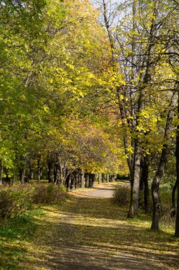 Sonbaharda park et.
