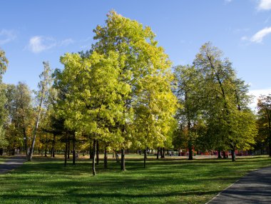 Sonbaharda park et.