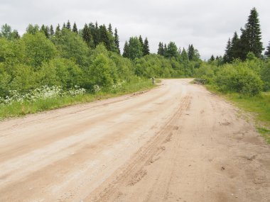 orman yolu