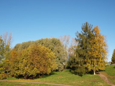 Park