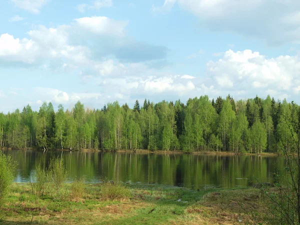 Costa del fiume in primavera — Foto Stock