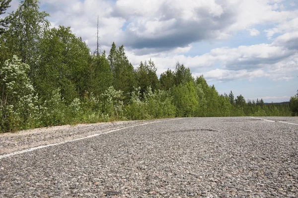 Road in beautiful green forest — Stock Photo, Image