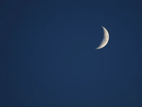 Månen — Stockfoto