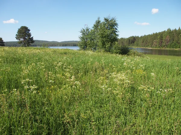 Seeufer — Stockfoto