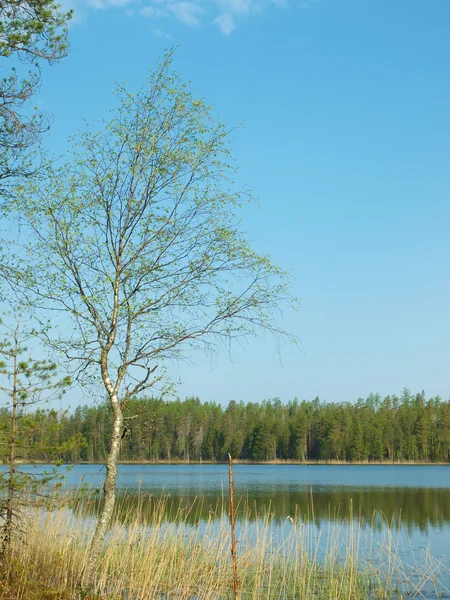 Krásné jezero — Stock fotografie