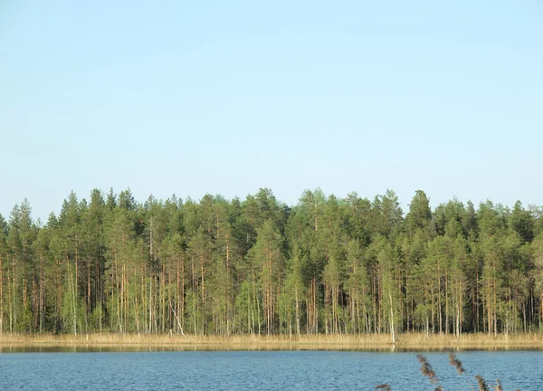 Bellissimo lago — Foto Stock