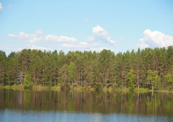 Costa del lago — Foto Stock