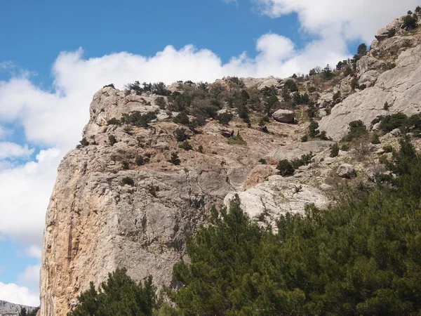 Árboles, cielo y roca — Foto de Stock