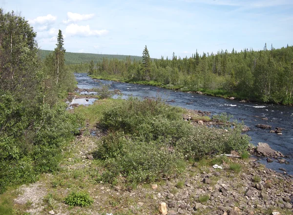 Costa del río en la primavera. Karelia, Rusia — Foto de Stock