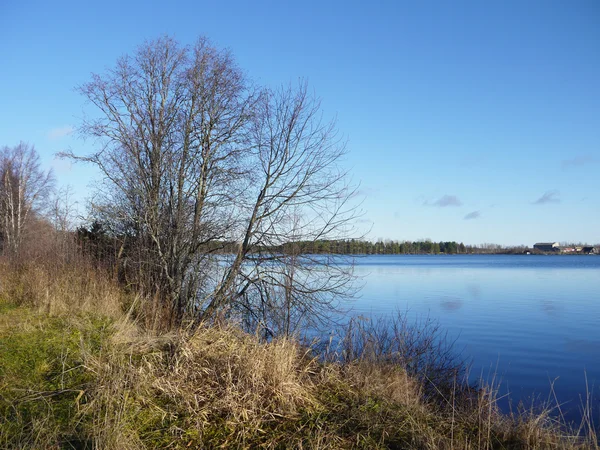 Costa del lago — Foto Stock