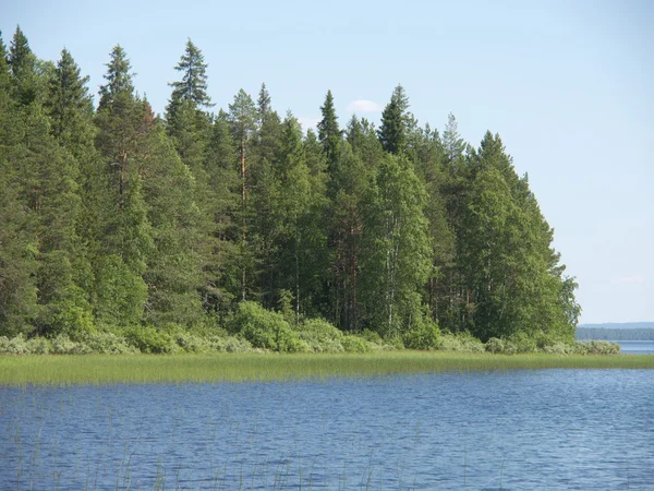 Beach lake — Stockfoto