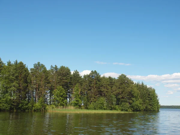 A tó partján — Stock Fotó