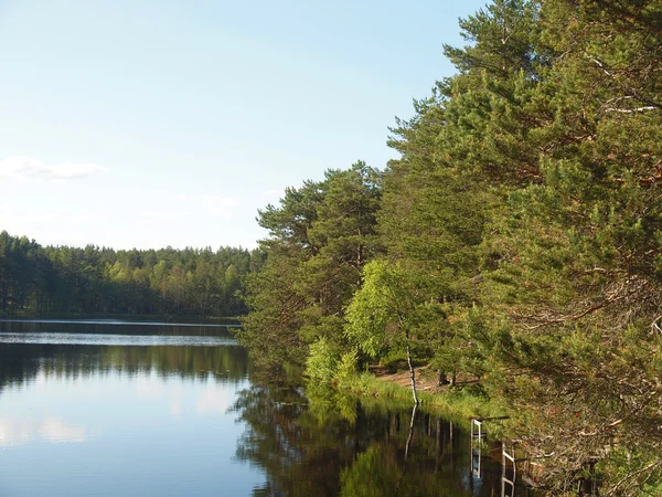 Kust van lake — Stockfoto