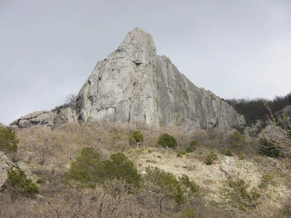 Stromy, oblohou a rock — Stock fotografie