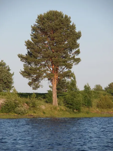 Beach lake — Stockfoto