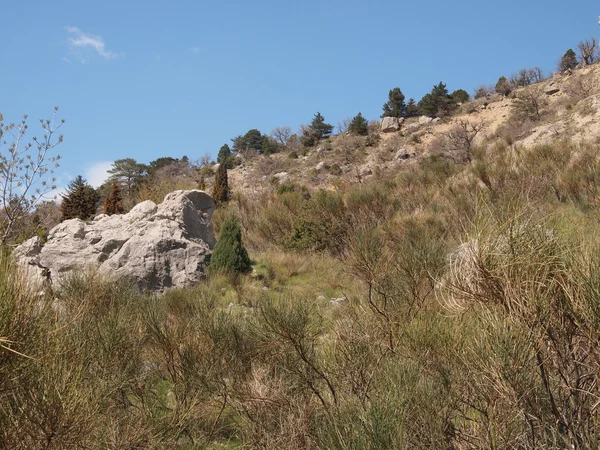 Bomen, hemel en rock — Stockfoto