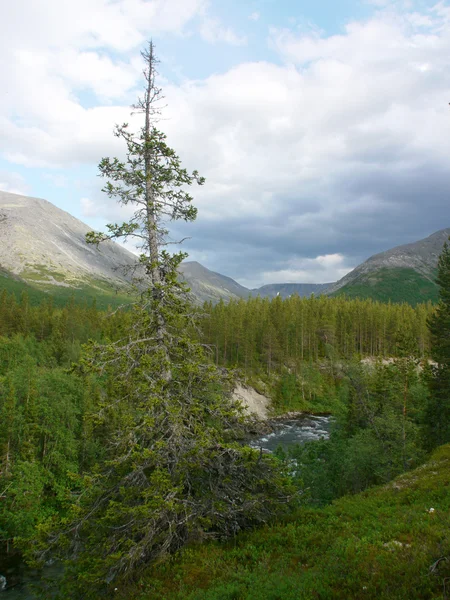 Grande montagna nel nord della Russia — Foto Stock