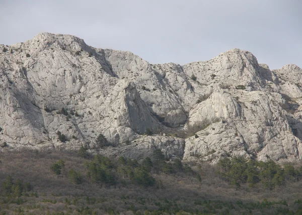 Stromy, oblohou a rock — Stock fotografie