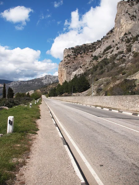 Estrada, floresta e rocha — Fotografia de Stock