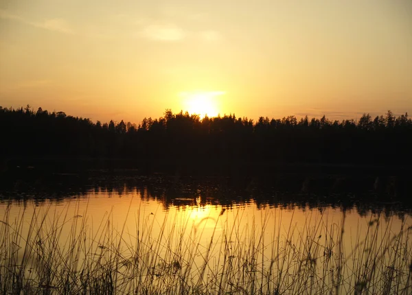 Declino su lago in un bosco. Carelia, Russia — Foto Stock