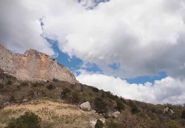 Ağaçlar, gökyüzü ve kaya — Stok fotoğraf