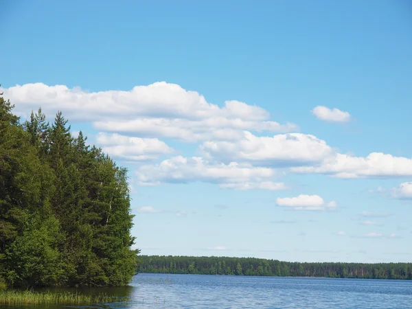 Ufer des Sees — Stockfoto