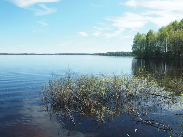 Озеро и небо — стоковое фото