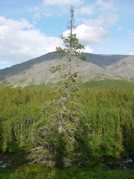 Gran montaña en el norte de Rusia — Foto de Stock